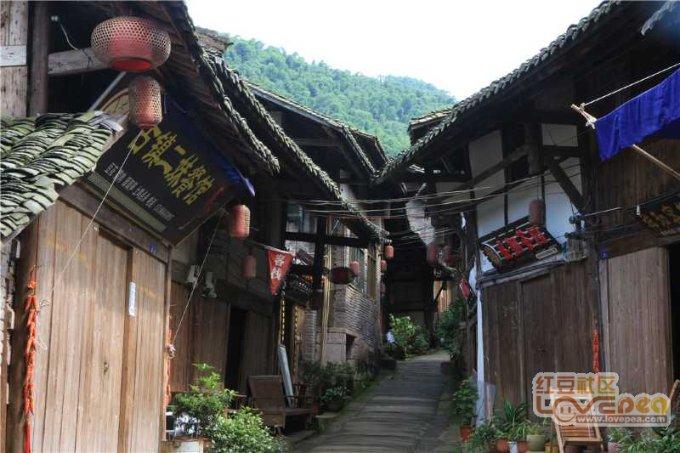 让金毛出门拿快递，开门瞬间表情呆滞，快递小哥差点笑出鼻涕泡